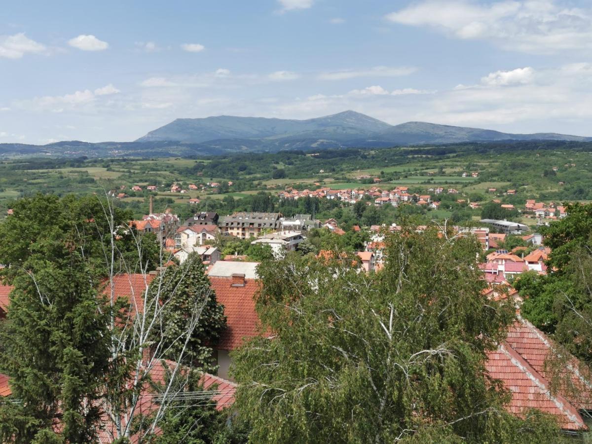 Vila Breza Soko Banja Dış mekan fotoğraf