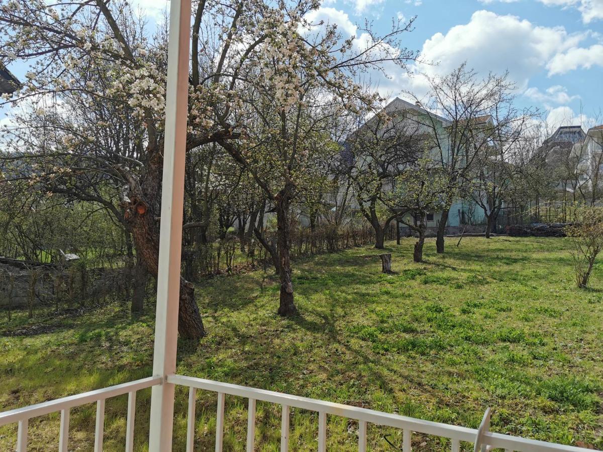 Vila Breza Soko Banja Dış mekan fotoğraf