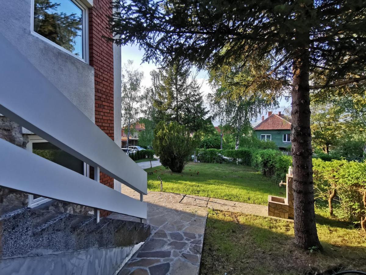 Vila Breza Soko Banja Dış mekan fotoğraf