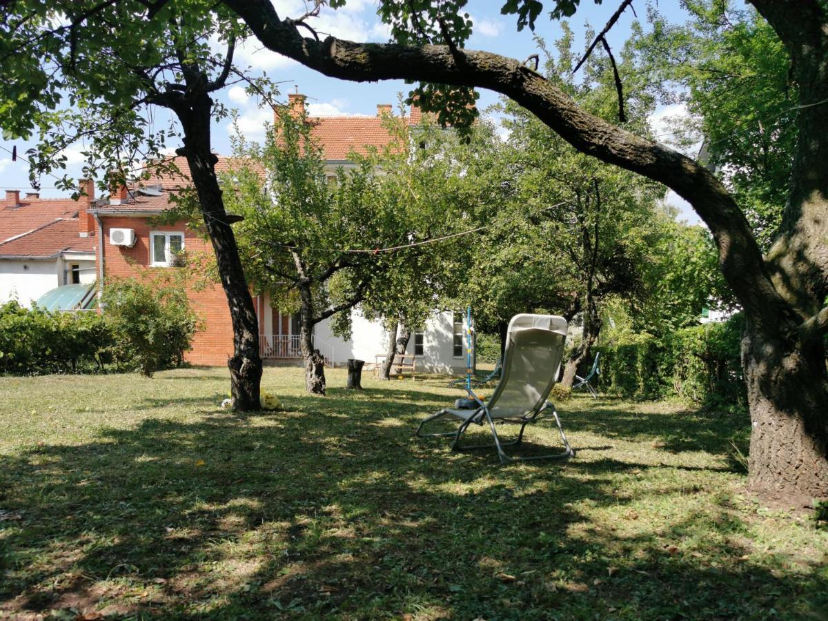 Vila Breza Soko Banja Dış mekan fotoğraf