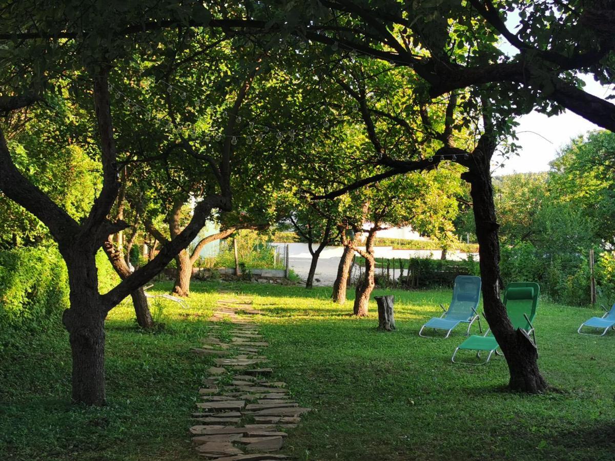 Vila Breza Soko Banja Dış mekan fotoğraf