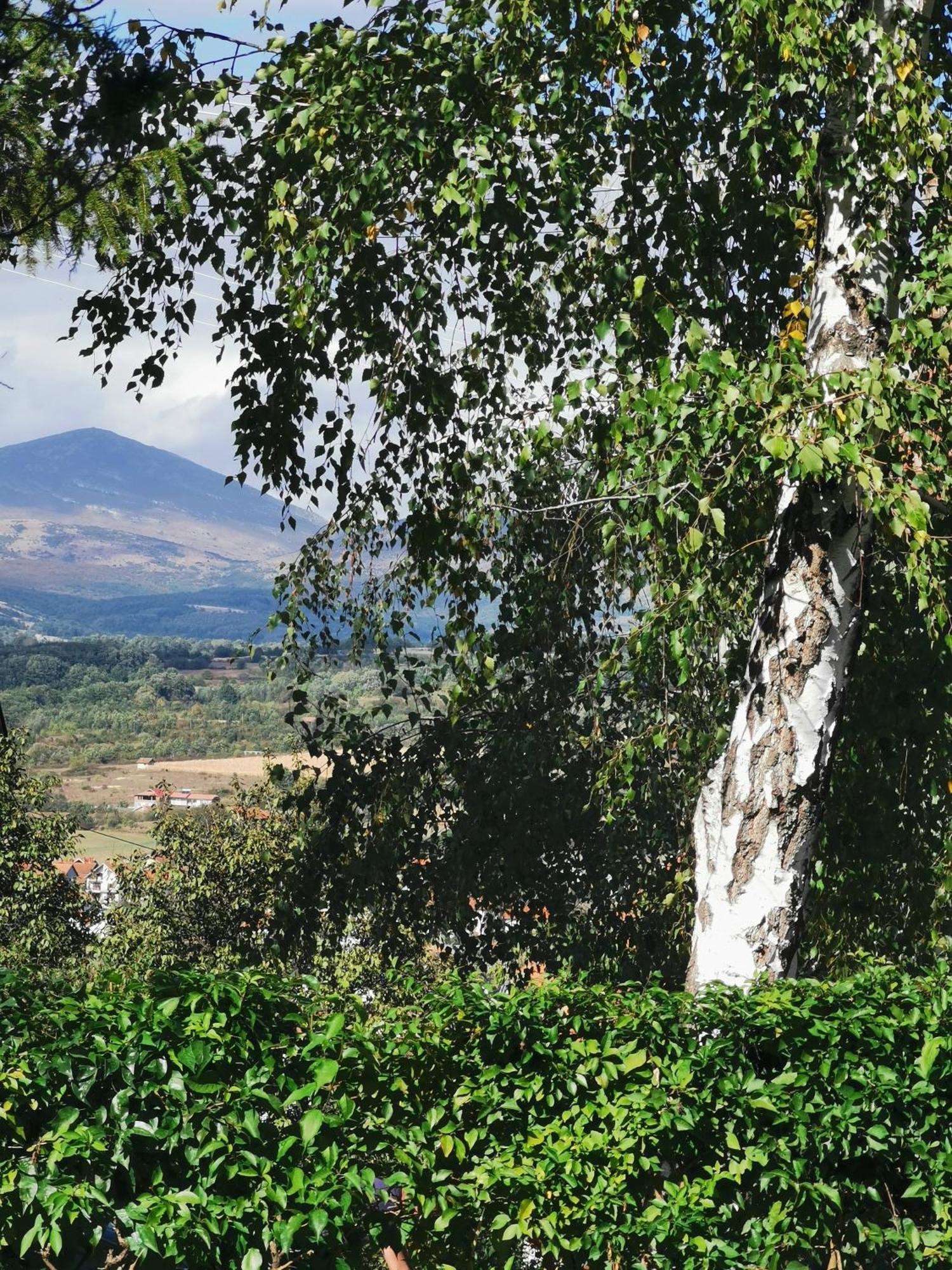 Vila Breza Soko Banja Oda fotoğraf